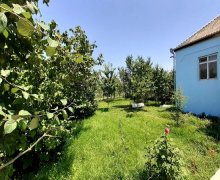 Kirayə (günlük) Həyət evi/villa Quba ş.