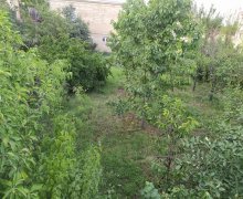 qubada torpaq satilir Quba ş.