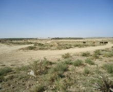 kreditle torpaq alqi satqis Məhəmmədli, Abşeron r.