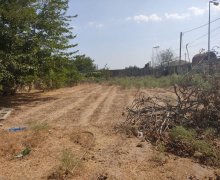 mastagada torpaq alqi satqisi Koroğlu m., Maştağa qəs., Sabunçu r.