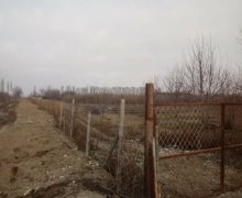 elanlari alqi satqisi elanlari Şabran ş.