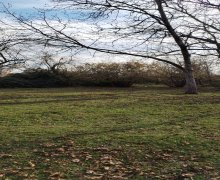 Satılır Torpaq Qəbələ ş.