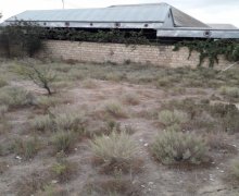 sarayda torpaq satilir Saray, Abşeron r.