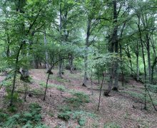 Satılır Torpaq Qusar ş.