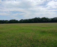 elanlari alqi satqisi elanlari Lənkəran ş.