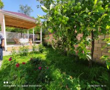 Kirayə (günlük) Həyət evi/villa Qəbələ ş.