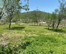 elanlari alqi satqisi elanlari Lənkəran ş.