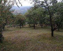 Satılır Torpaq Quba ş. Satılır Torpaq Quba ş.