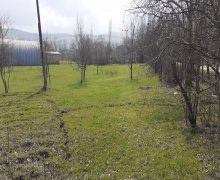 qubada torpaq satilir Quba ş.