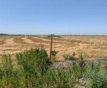 Kirayə (aylıq) Torpaq Hacıqabul ş.