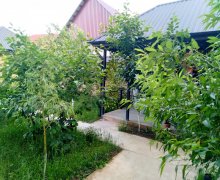 Kirayə (günlük) Həyət evi/villa Qusar ş.