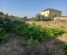 qurd deresi torpaq alqi satqisi Sumqayıt ş.