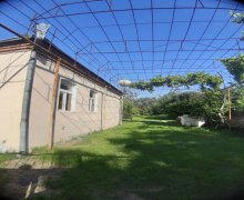 zaqatalada Bağ evi Zaqatala ş.