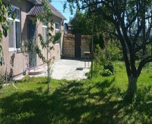 Kirayə (günlük) Həyət evi/villa Qusar ş.