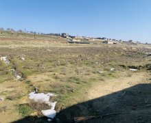 sarayda torpaq satilir Saray, Abşeron r.