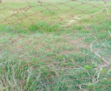 elanlari alqi satqisi elanlari Sabunçu qəs., Sabunçu r.