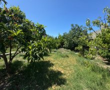 Satılır Torpaq Mərdəkan, Xəzər r. Satılır Torpaq Mərdəkan, Xəzər r.