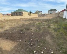 xirdalanda torpaq Xırdalan ş.