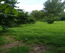 Satılır Torpaq Qəbələ ş.