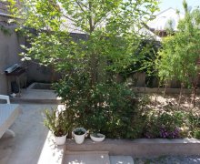 Satılır Həyət evi/villa Binə qəs., Xəzər r.