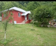 Kirayə (günlük) Həyət evi/villa Qəbələ ş.