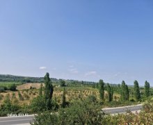 Kirayə (günlük) Həyət evi/villa Quba ş. Kirayə (günlük) Həyət evi/villa Quba ş.