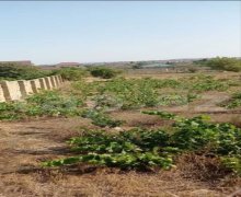 novxanida torpaq satilir Novxanı, Abşeron r.