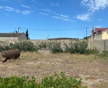 Satılır Torpaq Mərdəkan, Xəzər r.