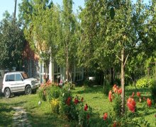 Kirayə (günlük) Həyət evi/villa Qax ş. Kirayə (günlük) Həyət evi/villa Qax ş.