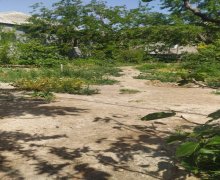 qurd deresi torpaq alqi satqisi Sumqayıt ş.