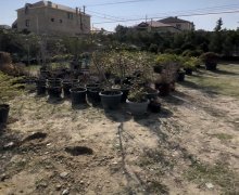 Продажа Участок Джорат баглары р., Сумгайыт г.