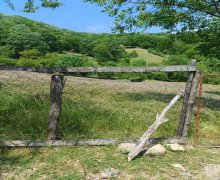 Satılır Torpaq Lerik ş.