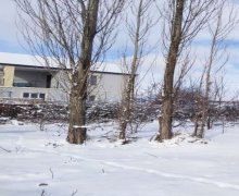 Kirayə (günlük) Həyət evi/villa Qusar ş.