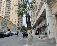 Satılır Obyekt Nizami m., Yasamal r.