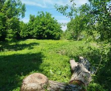 Satılır Torpaq İsmayıllı ş.