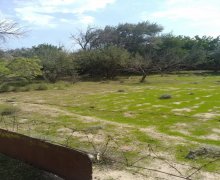 qurd deresi torpaq alqi satqisi Sumqayıt ş.