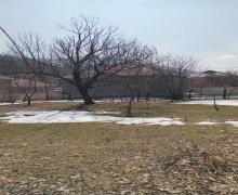 Satılır Torpaq Qəbələ ş.