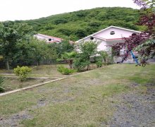 Kirayə (günlük) Həyət evi/villa Qax ş.