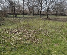 Satılır Torpaq Qəbələ ş.