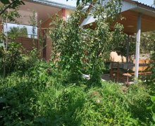 ismayilli günlük kiraye evler/villa İsmayıllı ş. ismayilli günlük kiraye evler/villa İsmayıllı ş.
