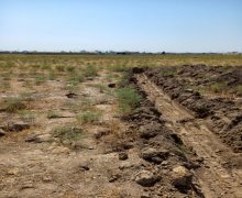 rayonlarda torpaq alqi satqisi Abşeron r.