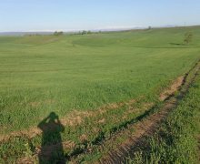 Satılır Torpaq Qusar ş.