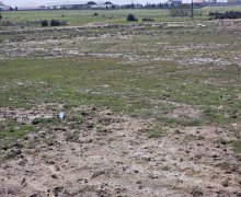 Продажа Участок м. Короглу м., пос. Йени Сураханы, Сураханы р.