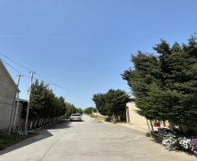 Satılır Torpaq Şüvəlan, Xəzər r.