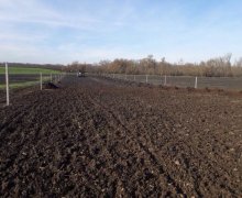 elanlari alqi satqisi elanlari Xaçmaz / Nabran ş.