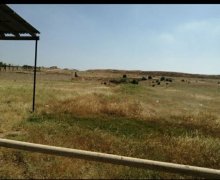 Satılır Torpaq Ramana qəs., Sabunçu r.