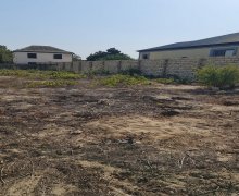 novxanida torpaq satilir Novxanı, Abşeron r.