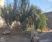 sumqayitda heyet evlerinin satisi/villa Sumqayıt ş.