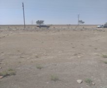 rayonlarda torpaq alqi satqisi Qobu, Abşeron r.