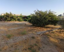 mastagada torpaq alqi satqisi Maştağa qəs., Sabunçu r.